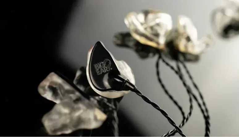 Big Ear BE1C &mdash; single-driver custom earbud